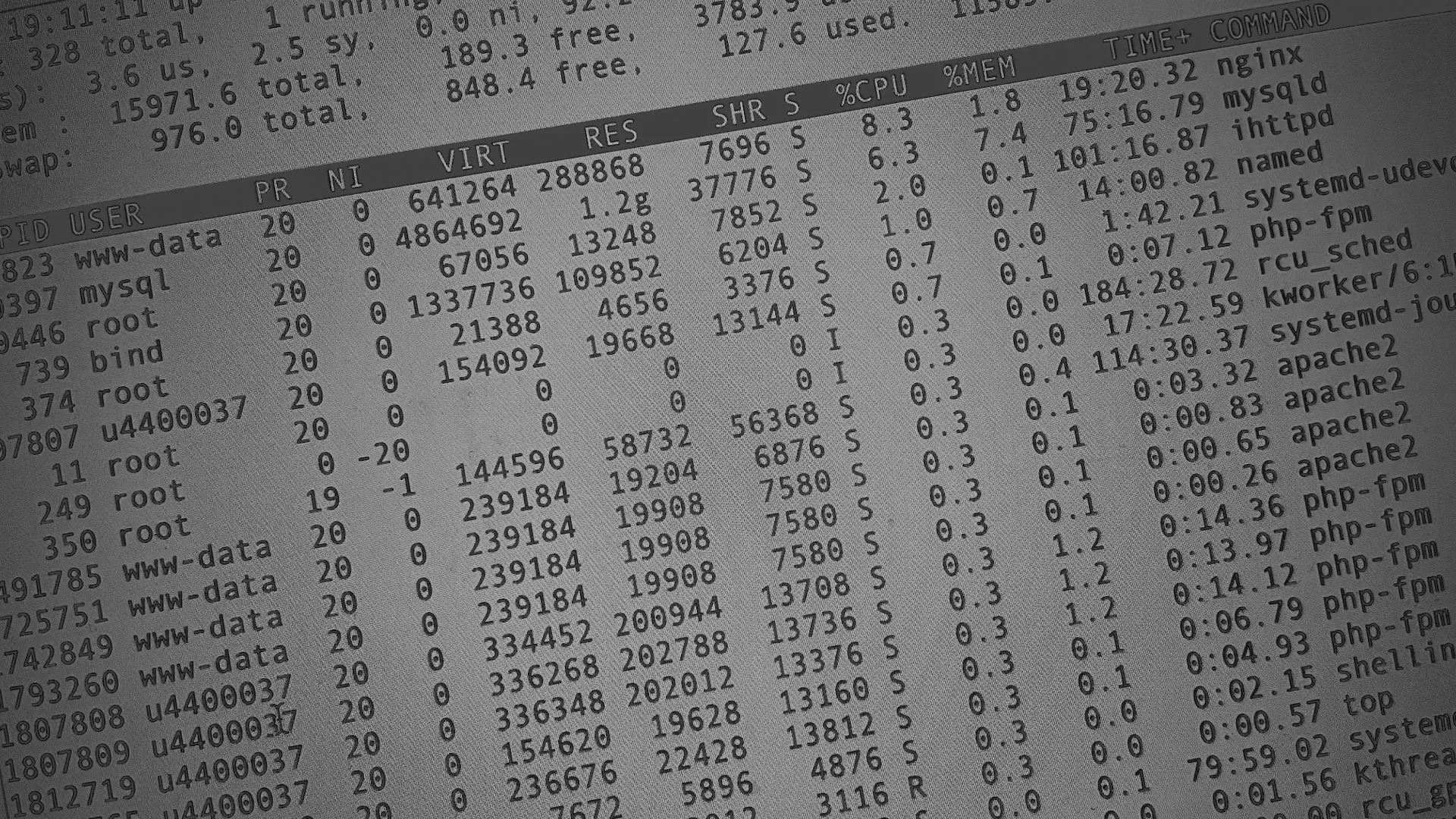 Настройка сервера в Менделеевске