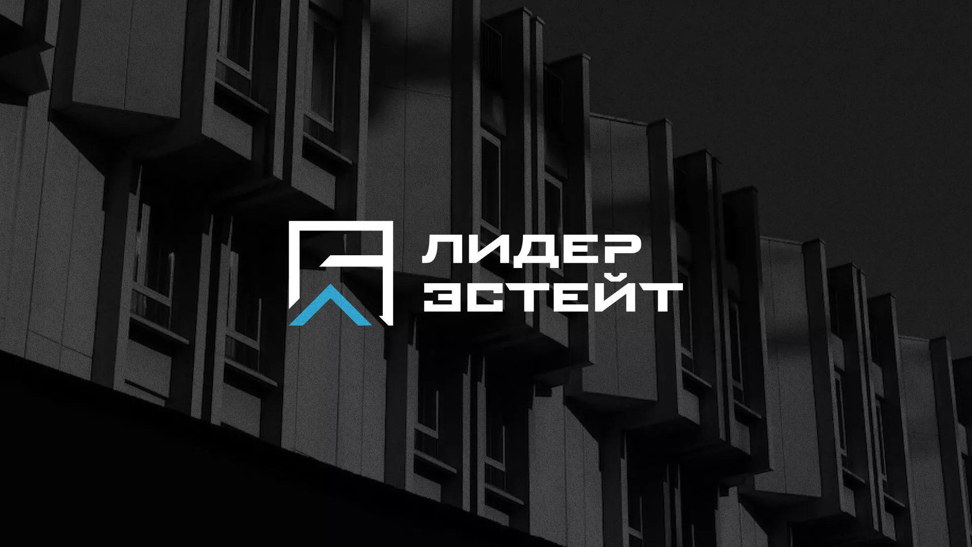 Разработка логотипа агентства недвижимости «Лидер Эстейт» в Менделеевске